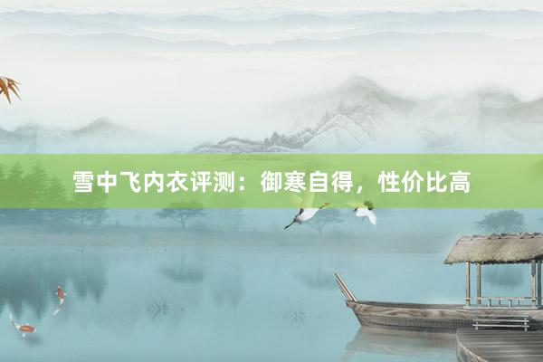 雪中飞内衣评测：御寒自得，性价比高