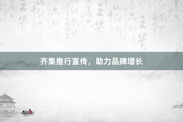 齐集推行宣传，助力品牌增长