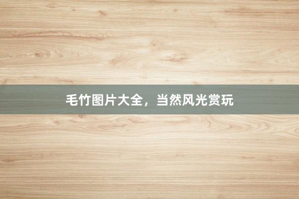 毛竹图片大全，当然风光赏玩