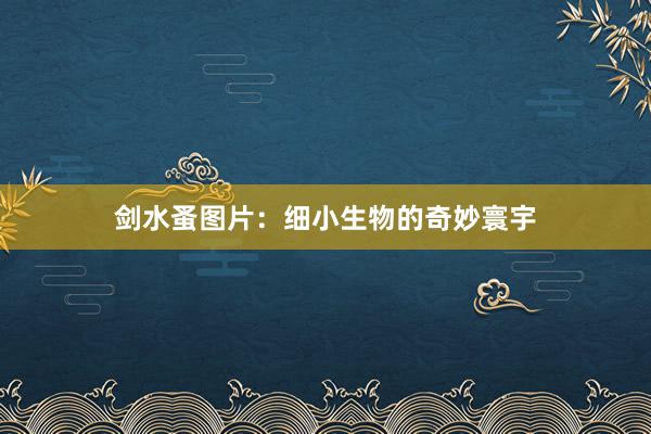 剑水蚤图片：细小生物的奇妙寰宇