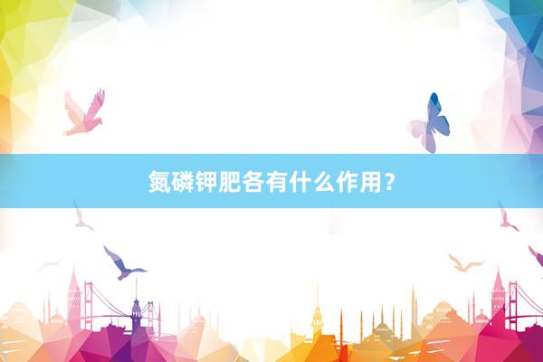氮磷钾肥各有什么作用？